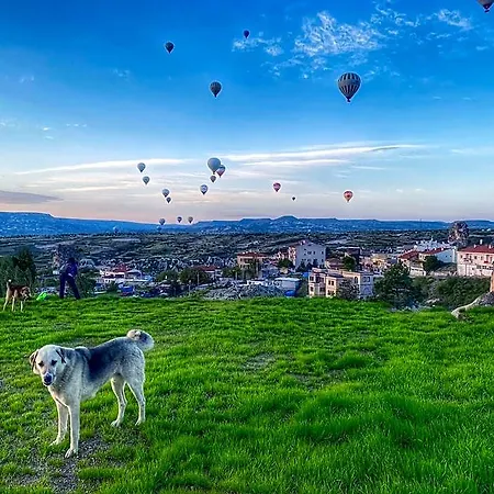 Valley Cappadocia Отель Ургуп